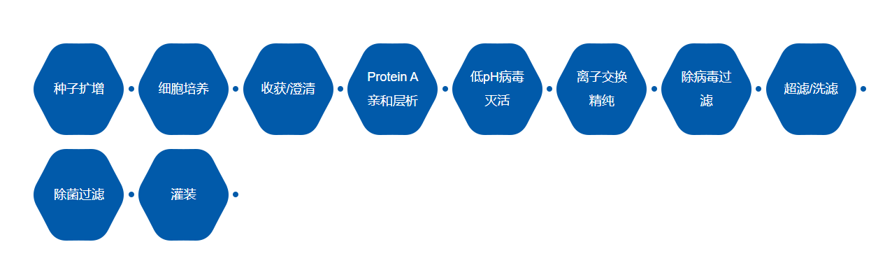 CHO細胞.png